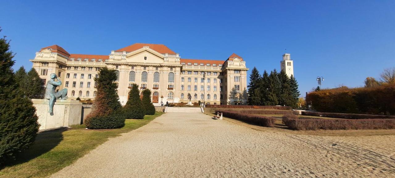 City Life Apartment Debrecen Dış mekan fotoğraf