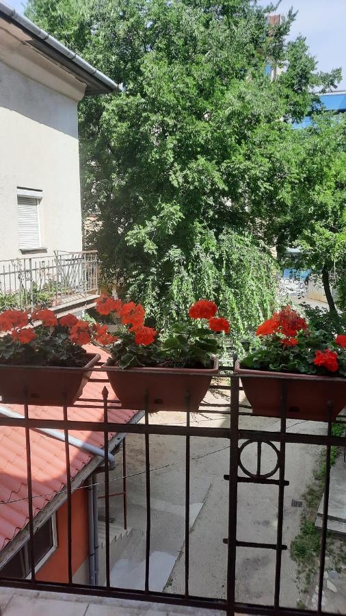 City Life Apartment Debrecen Dış mekan fotoğraf